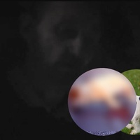 Vzal štěně za zadní nožičky, zdvihl jej do výšky a opakovaně udeřil jeho hlavičkou o zem
