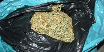 Pěstoval přes 300 rostlin marihuany