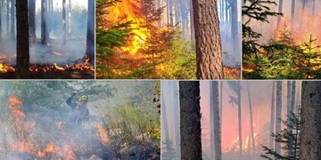 Právě teď zuří dva požáry lesa