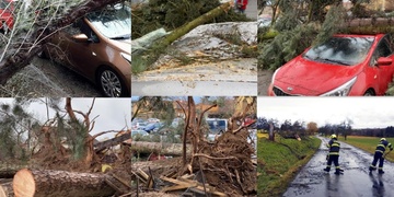 Bouře se prohnala Českem, silný vichr vyvrací stromy