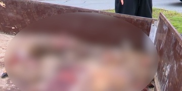 Na Tachovsku řádí pytlák za pomoci terénního vozu
