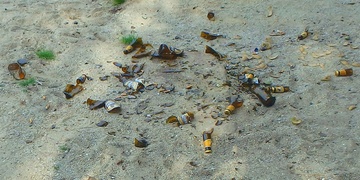 Hlupák ohrozil návštěvníky pláže, druhý zase sbíral citrony