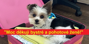 "Moc děkuji bystré a pohotové ženě!"