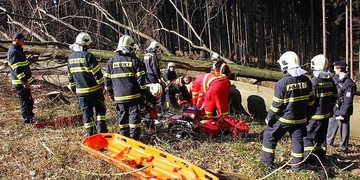 Padající strom usmrtil člověka