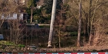 Hasiči překazili bobrovi jeho plány