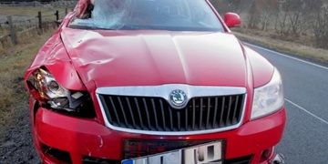 Podnapilý řidič srazil koně a ten po nehodě uhynul