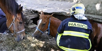 Hasiči zachraňovali koně