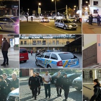 V Plzni muže seřezal tyčí a dívku pak pěstmi do krve