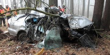 Vozidlo téměř letělo 200 metrů lesem