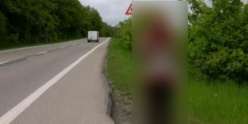 Tak na tuhle stopařku řidič dlouho nezapomene