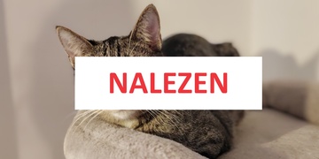 Doyle je nalezen