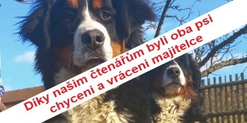 Lesí a Saly jsou díky vám již doma