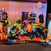 Chodec střet s autem nepřežil