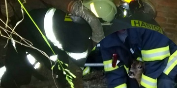 Záchrana srnky ze šachty