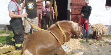 V Útušicích hasiči pomohli koni na nohy