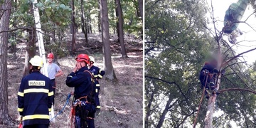 Paraglidista zůstal viset ve větvích