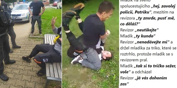 Rvačku s revizorem mladík prohrál