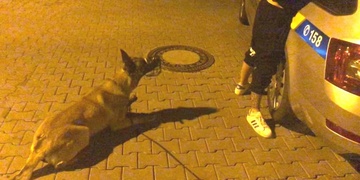 "Mě nemůžete zatknout, já sem z Ukrajiny!"