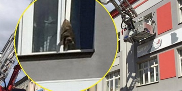 Záchrana kočky zaseklé ve ventilačce