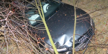 Pes vběhl přímo před auto a to po střetu vyletělo ze silnice