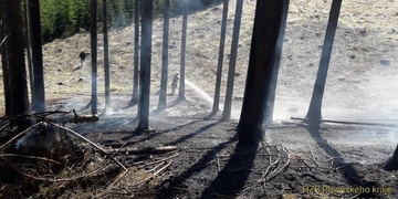 Čtyři jednotky hasičů bojují s lesním požárem