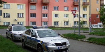 Zloděj smolař