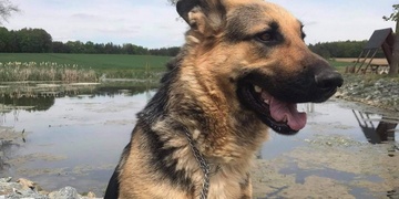 Pomozte nám prosím najít Ajdu!