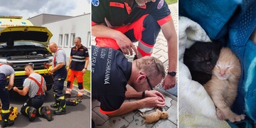 Všechny sanitky umí houkat, ale jen jedna i mňoukala