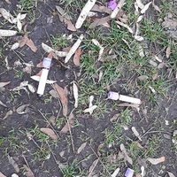 Zkumavky s krví se jen tak povalovaly u cesty