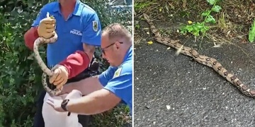Strážníci v parku odchytávali cizokrajného hada