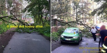 Pád stromu na jedoucí auto byl vyloučen, vyšetřování ale stále pokračuje