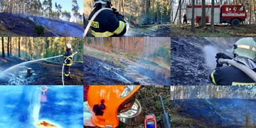 Lesní požár u přehrady Hracholusky