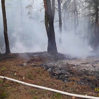 Další lesní požár