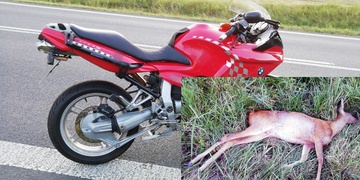 Po střetu se srnou vyletěl motorkář ze silnice