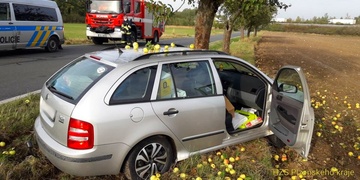 Řidička narazila do jabloně