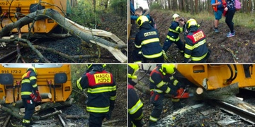 Vlak najel do stromu