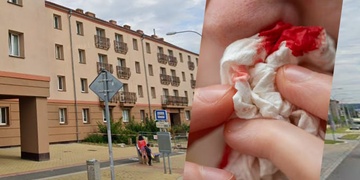 Viděli jste konflikt na Slovanské aleji v Plzni?