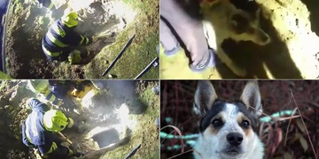 Záchrana fenky Kiry byla náročná