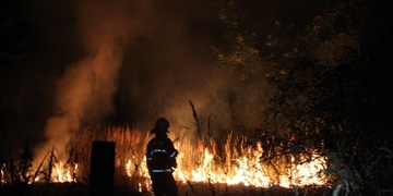 Hasiči bojovali s rozsáhlým požárem na Borech
