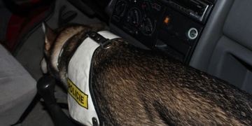 Zdrogovaný řidič ujížděl policistům a následně boural