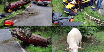 Moldavan havaroval se dvěma jehňaty v kufru