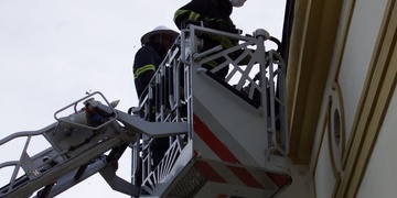 Vosy ohrožovaly návštěvníky i úředníky ÚMO Plzeň 3