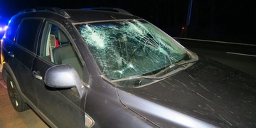 Za jízdy mu na auto spadl strom