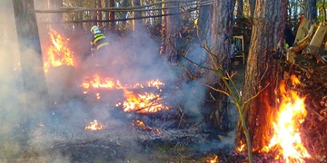 Bezdomovci zapálili les, na místě jedna popálená žena