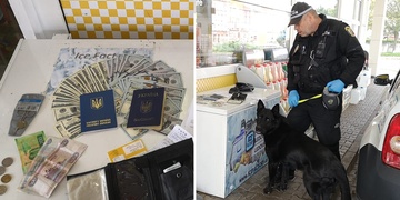 Pes Grimm nalezl doklady a tisíce dolarů