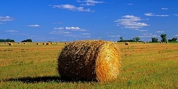 Zemědělec vyzrál na zlodějku i zloděje