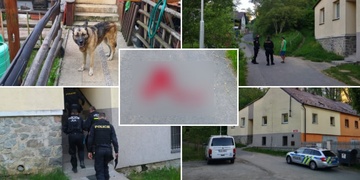 Čivava útok větší feny nepřežila