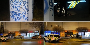 Za dva dny čtyři zadržení vandalové