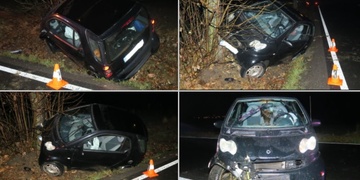 Opilá řidička skončila ve stromě