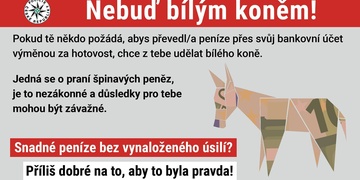 Bílým koněm snadno a rychle